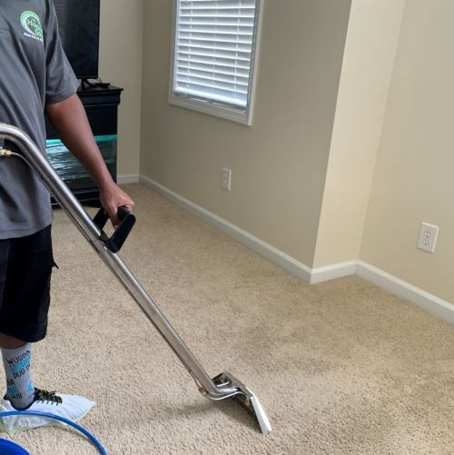 Carpet Cleaning Milton Ga Results 8