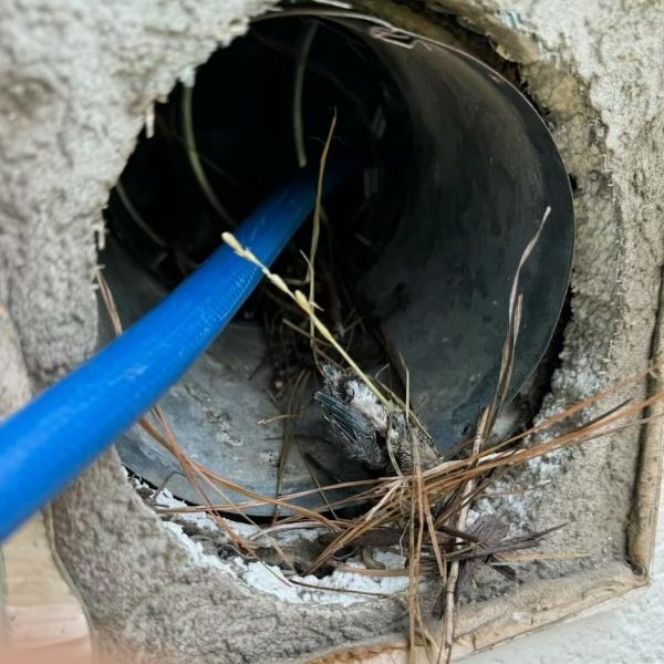affordable commercial dryer vent cleaning