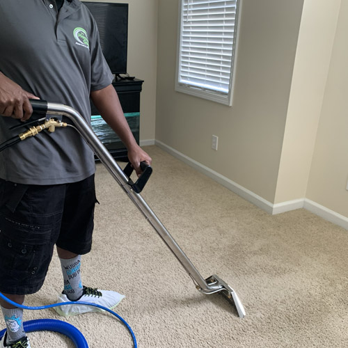 Carpet Cleaning Services